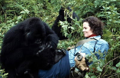 Gorillas In The Mist 1988 Sigourney Weaver Movie Image 11