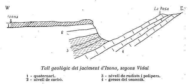 Resultado de imagen de alexander liebau paleontologo