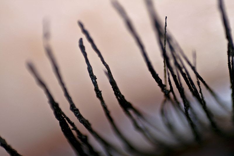 Eco Yogini: Plastic-Free Eco Mascara: TWINK! Eco Yogini PlasticFree Eco Mascara TWINK