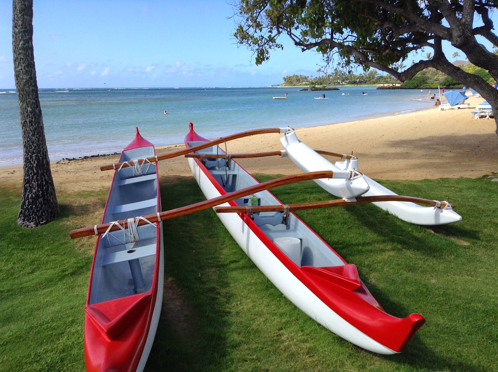 O Viajólogo Hawaiian canoes