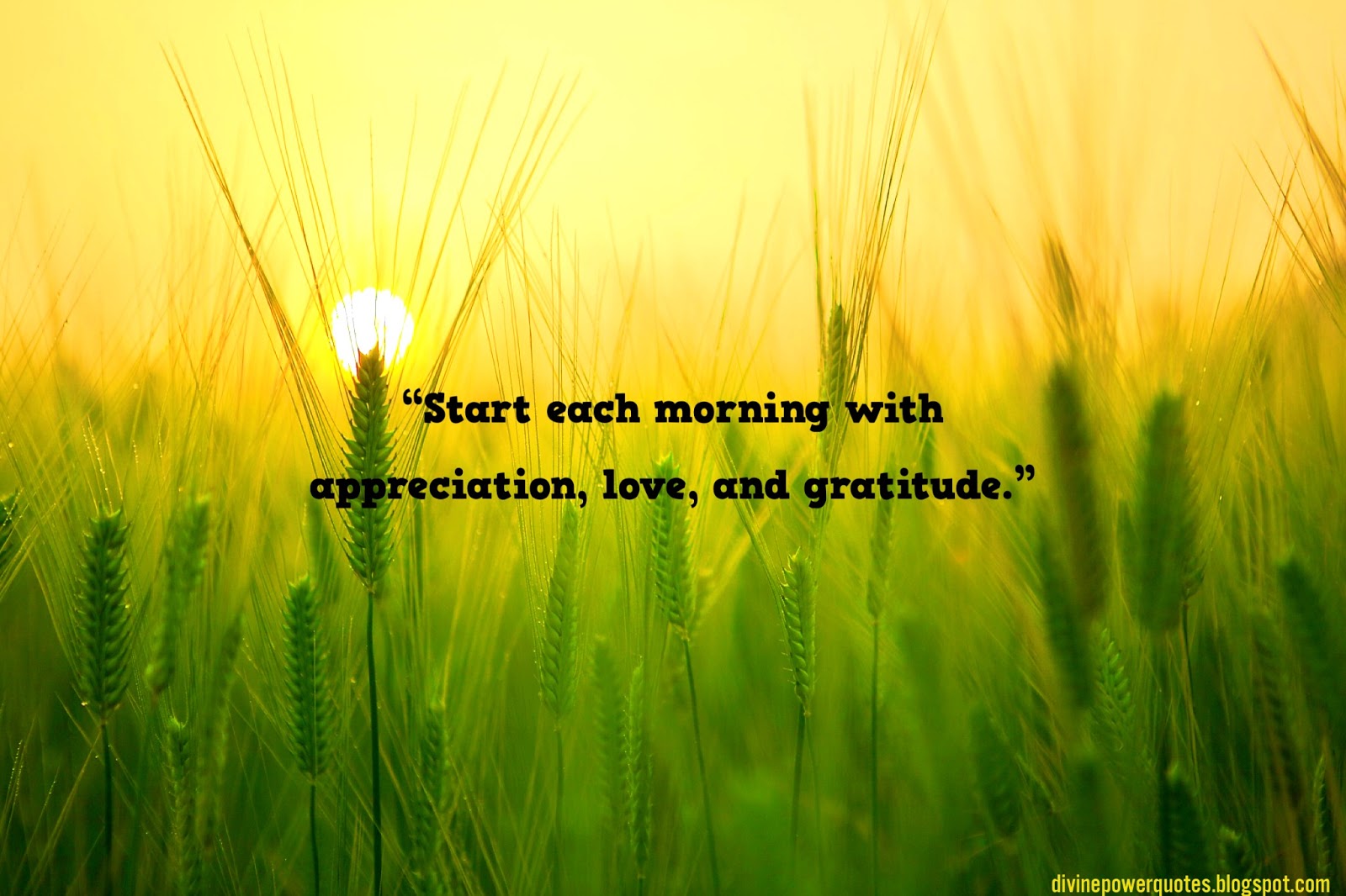 Divine Power Quotes Gratitude Quote