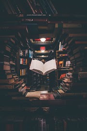 Best Books to Read of All Time (Genre wise)