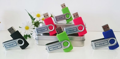 usb_313-in-logo.jpg