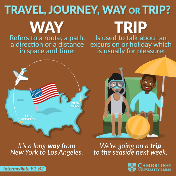 trip information meaning