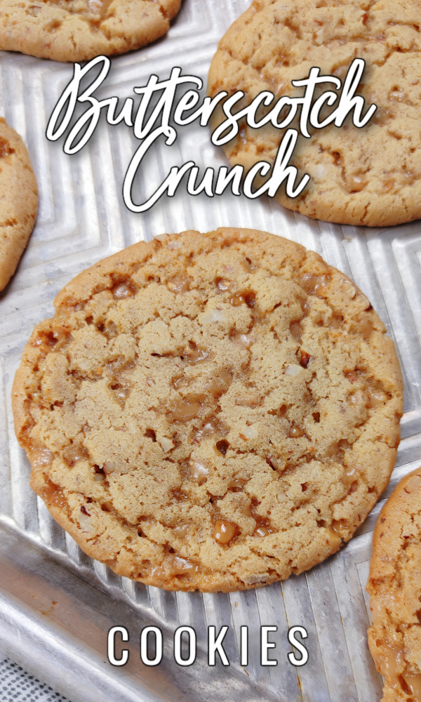Butterscotch Crunch Cookies! An old-fashioned cookie recipe with brown sugar and toffee bits for double the butterscotch flavor and toasted pecans for crunch. Freeze and cut for picture-perfect cookies any time you have a craving!