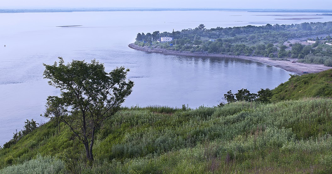 На берегу амура