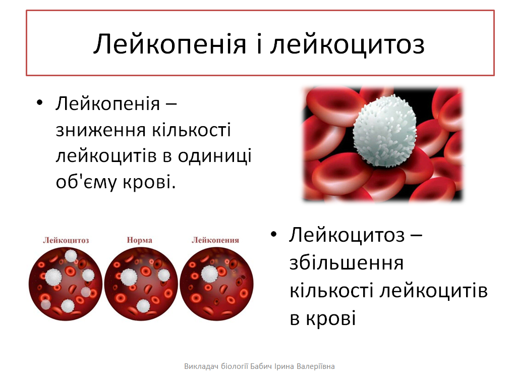 Лейкоцитоз показатели. Лейкоцитоз в крови. Заболевания лейкоцитов. Лейкоциты периферической крови. Заболевания лейкоцитов в крови.