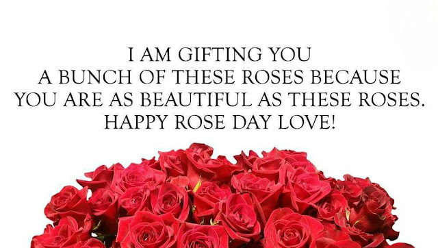 rose day quotes, quotes on rose day, rose day quotes for him, rose day quotes for love, rose day quotes for husband, rose day quotes for boyfriend, rose day unique quotes, rose day quotes for friends, rose day quotes in hindi, rose day quotes for wife, rose day quotes for gf, rose day quotes for girlfriend, rose day quotes for her, rose day quotes images, rose day quotes for lover, quotes on rose day for boyfriend, rose day best quotes, rose day images with quotes for husband, rose day quotes 2019, rose day quotes for my husband, happy rose day quotes 2019, rose day quotes for hubby, quotes on rose day for girlfriend, quotes on rose day for husband, rose day quotes for bf, rose day quotes for long distance relationship, rose day quotes for husband in english, rose day quotes for singles