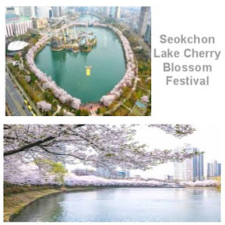 Seokchon Lake Cherry Blossom Festival