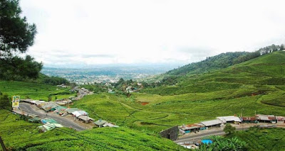 wisata terbaru bogor Taman Riung Gunung wisata terbaru bogor Taman Riung Gunung