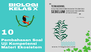 Interaksi antar organisme