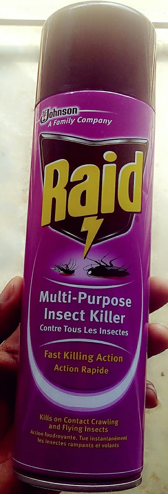 RAID MULTIPURPOSE INSECT KILLER 2016 REVIEW