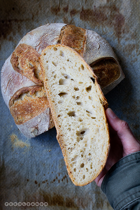 Hogaza con masa madre