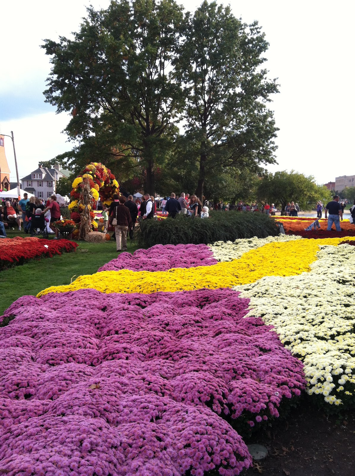 The Dunaway Scene Barberton Mum Fest