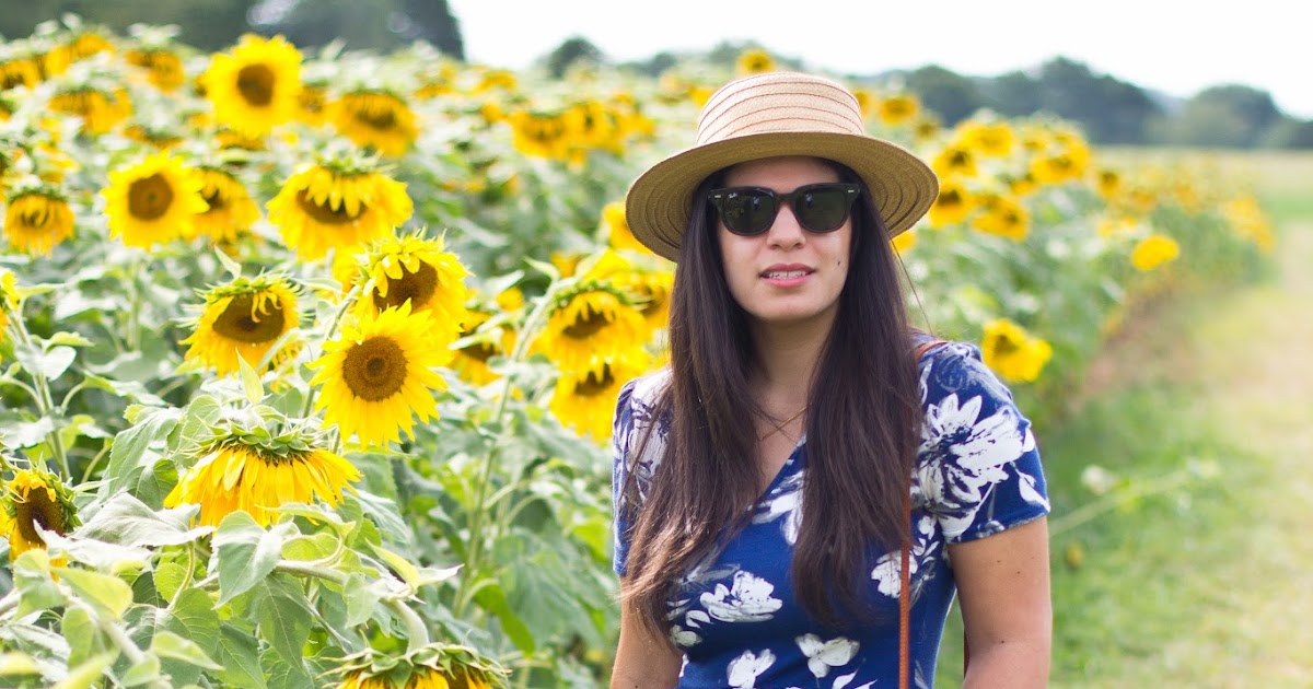 Sunflower Field Chic on the Cheap Connecticut based style blogger on a budget, by Lydia Abate