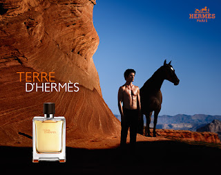 TERRE D?HERMÈS de Hermès. Las fuerzas de los elementos concentradas en un frasco.