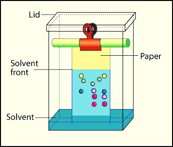 Principle Instrumentation And Applications Of Paper Chromatography