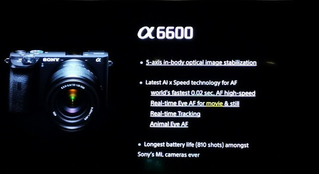 Sony: the a6100 and the top a6600 Sony: the a6100 and the top a6600