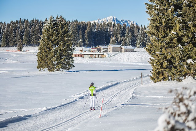 alpe cimbra folgaria inverno