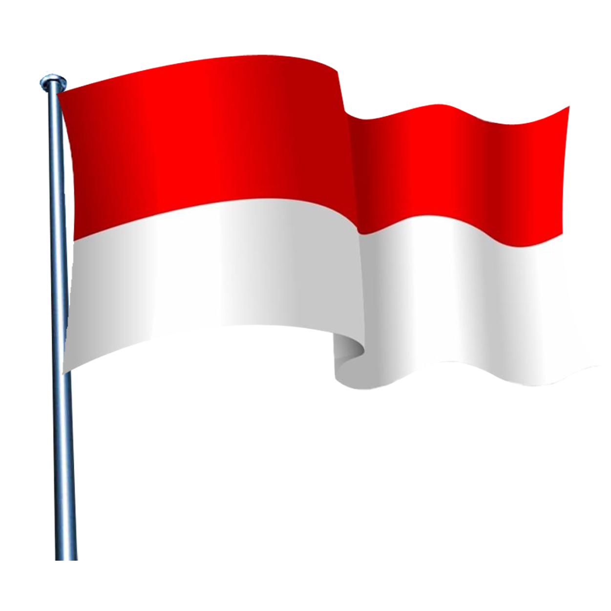Gambar Bendera Merah  Putih Vector PNG dan JPEG Terbaik 