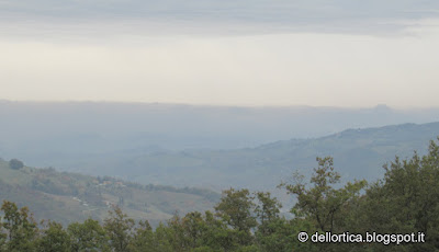 oleolito di lavanda, oleolito di lavandino, oleolito di rosmarino, oleolito di cipresso, oleolito di iperico, oleolito di salvia, gelatina di tarassaco, confettura di piccoli frutti, confettura di fragole e fragoline, sali aromatizzati all'issopo, al timo , al rosmarino, all'alloro, ghirlande di fiori secchi, petali di rosa per tisane, cinorrodi di rosa, ortica secca e fresca, etc