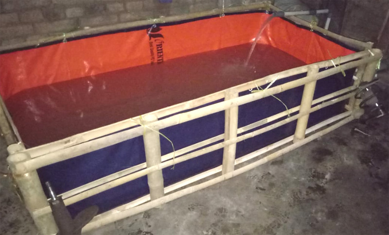 Peluang Usaha Budidaya Ikan Lele di Kolam Terpal Untuk Pemula Peluang Usaha Budidaya Ikan Lele di Kolam Terpal Untuk Pemula