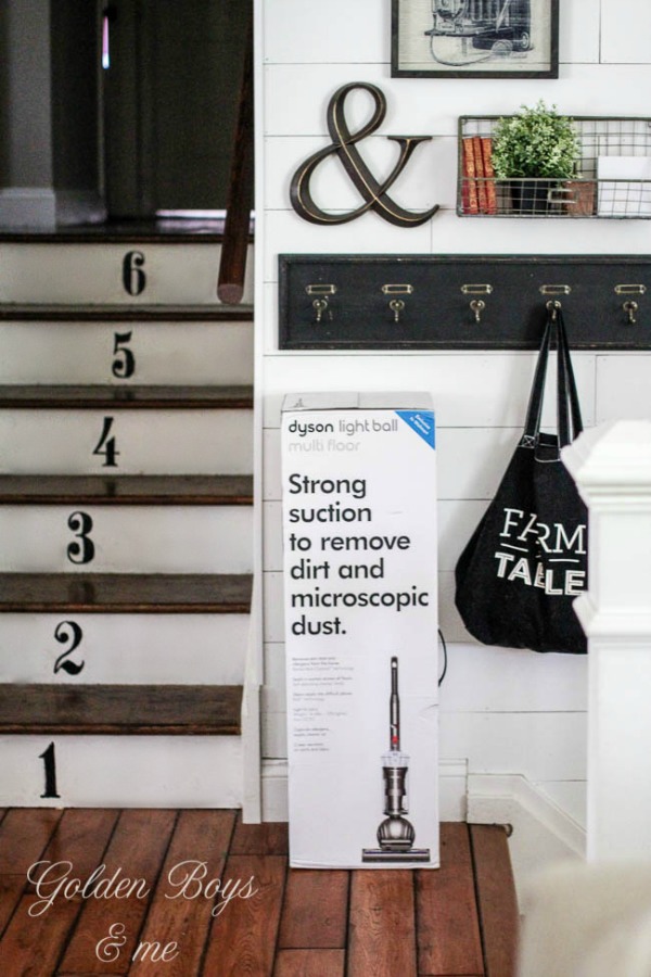 Living with Kids & Pets? Here's Why You Need A Dyson Light Ball Vacuum