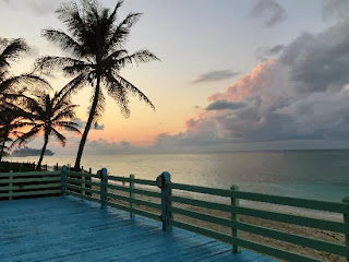 Paradise Island and hotel Sivananda Ashram Yoga Retreat ~ Travelenka