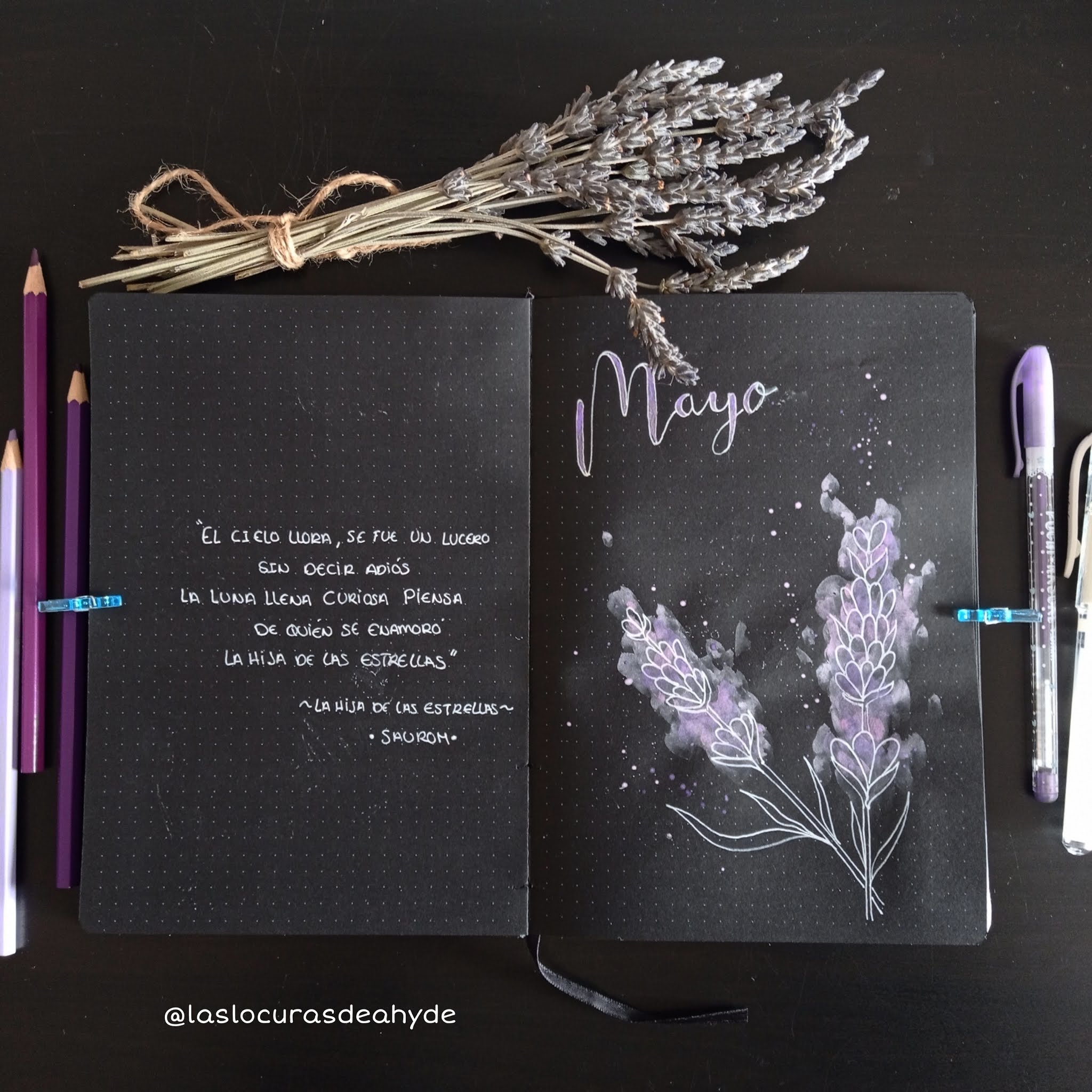 Las Locuras de Ahyde Mayo Bullet Journal