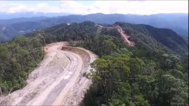 Ditarget Rampung 2019, Ini Fakta Terkait Jalan Trans Papua yang Menelan Korban