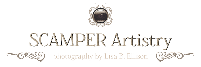 SCAMPER Artistry