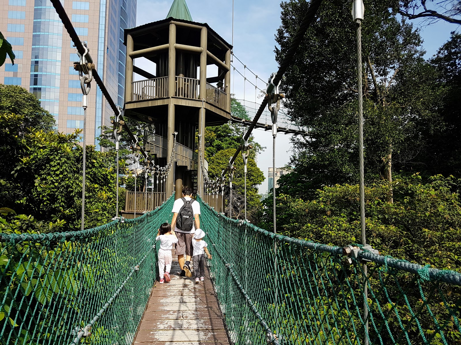 【雪隆景点】Taman Eko Rimba Kuala Lumpur Hutan Simpan Bukit Nanas | 闹市中吉隆坡塔前的 ...