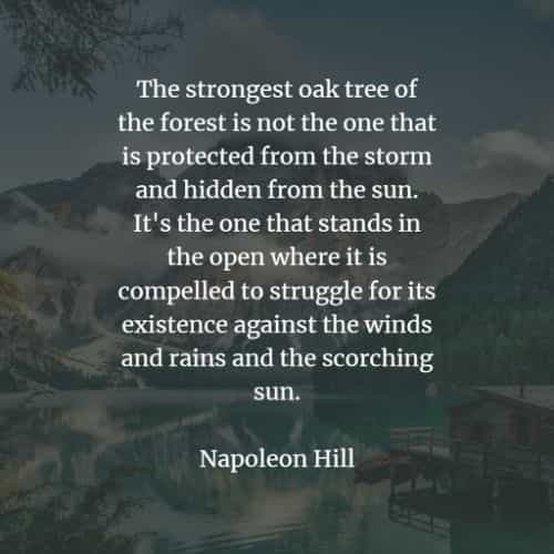 16+ Napoleon Quotes With Images Most Save Pinterest - Mellow Writer's