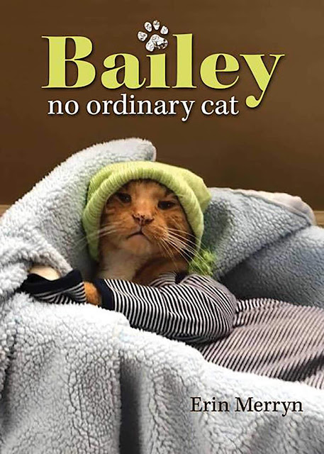 Book Review: Bailey, No Ordinary Cat by Erin Merryn