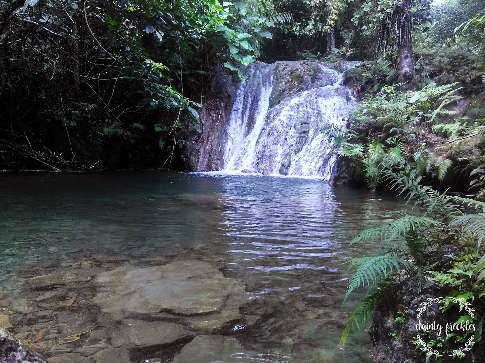 Mt. Binutasan + Batis Falls - Dainty Freckles