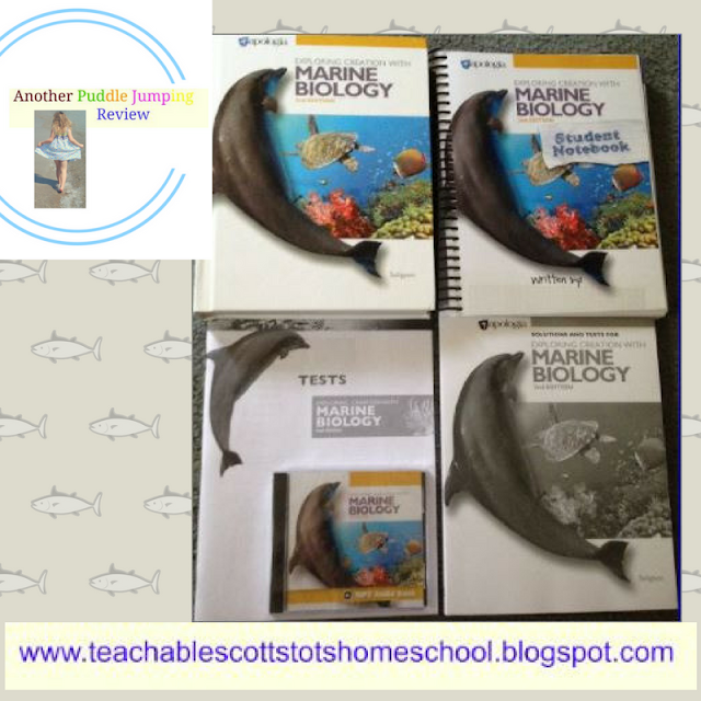 review, #hsreviews #MarineBio #homeschoolBiology, Homeschool Marine Biology from Apologia