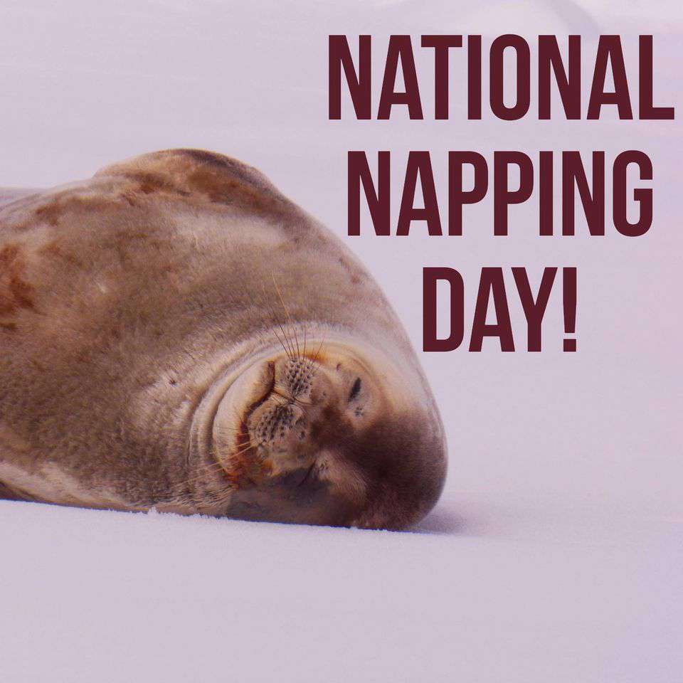 National Napping Day Wishes Photos National Napping Day Wishes Photos