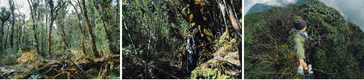 Trekking đỉnh Putaleng và tận hưởng dư vị huyền bí đậm chất núi rừng