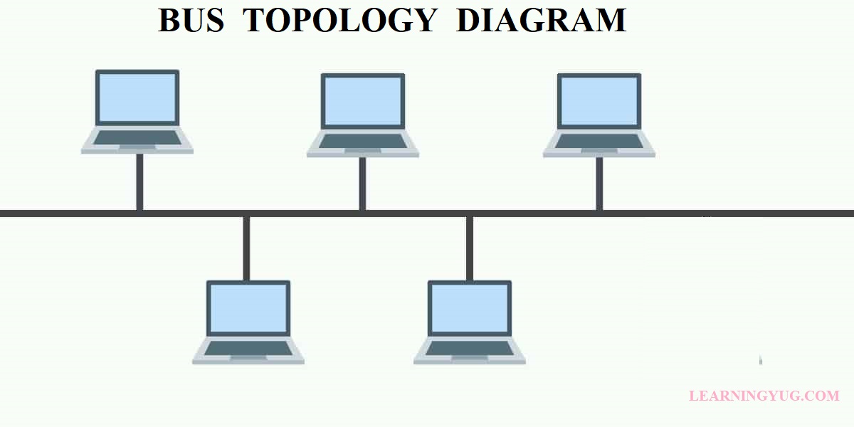 bus topology