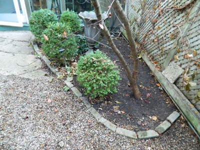 Toronto Cabbagetown Fall Cleanup Backyard After by Paul Jung--a Toronto Organic Gardener Toronto Cabbagetown Fall Cleanup Backyard After by Paul Jung--a Toronto Organic Gardener
