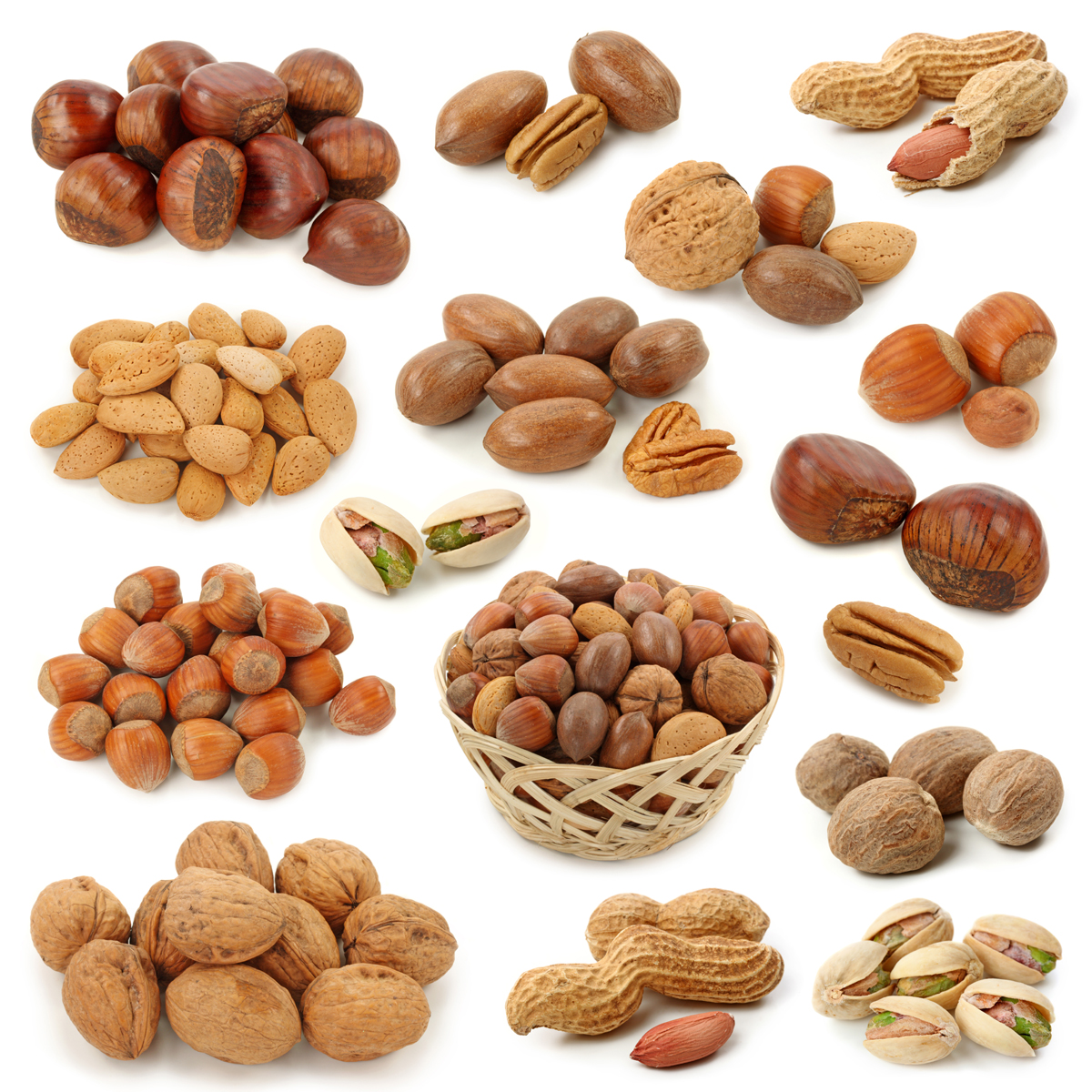 clipart pictures of nuts - photo #20