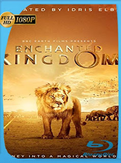 Enchanted Kingdom (2014) HD [1080p] Latino [GoogleDrive] SXGO