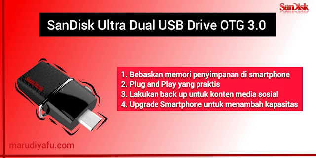 USB OTG SanDisk