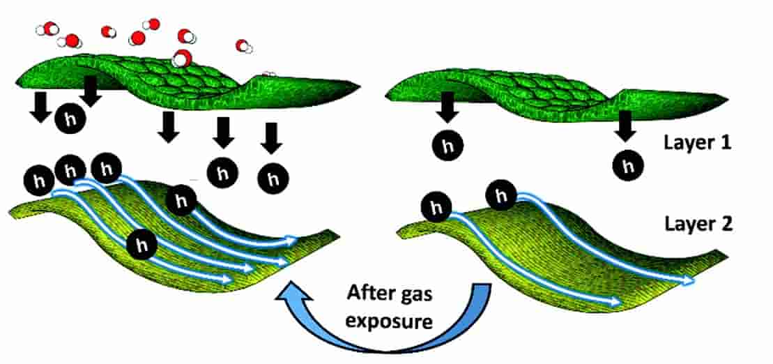 artificial electric nose detects hydrogen sulfide gas