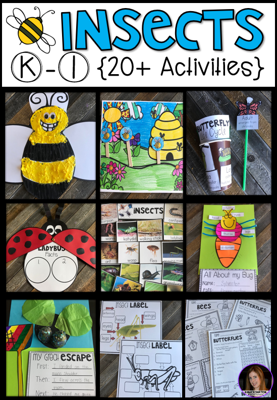 Insects 20+ Activities for Kindergarten - Kindergarten Rocks Resources