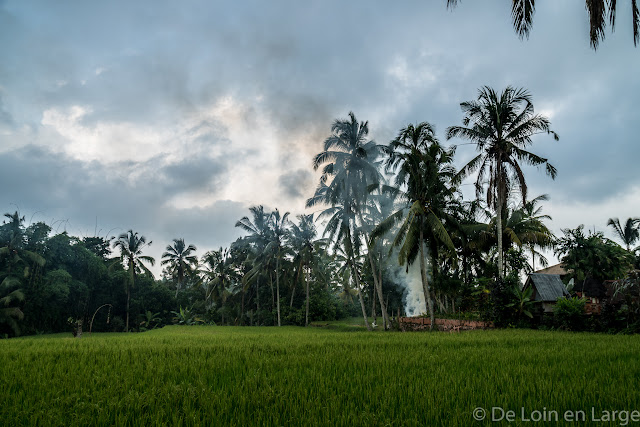 Saudara Home - Ubud - Bali