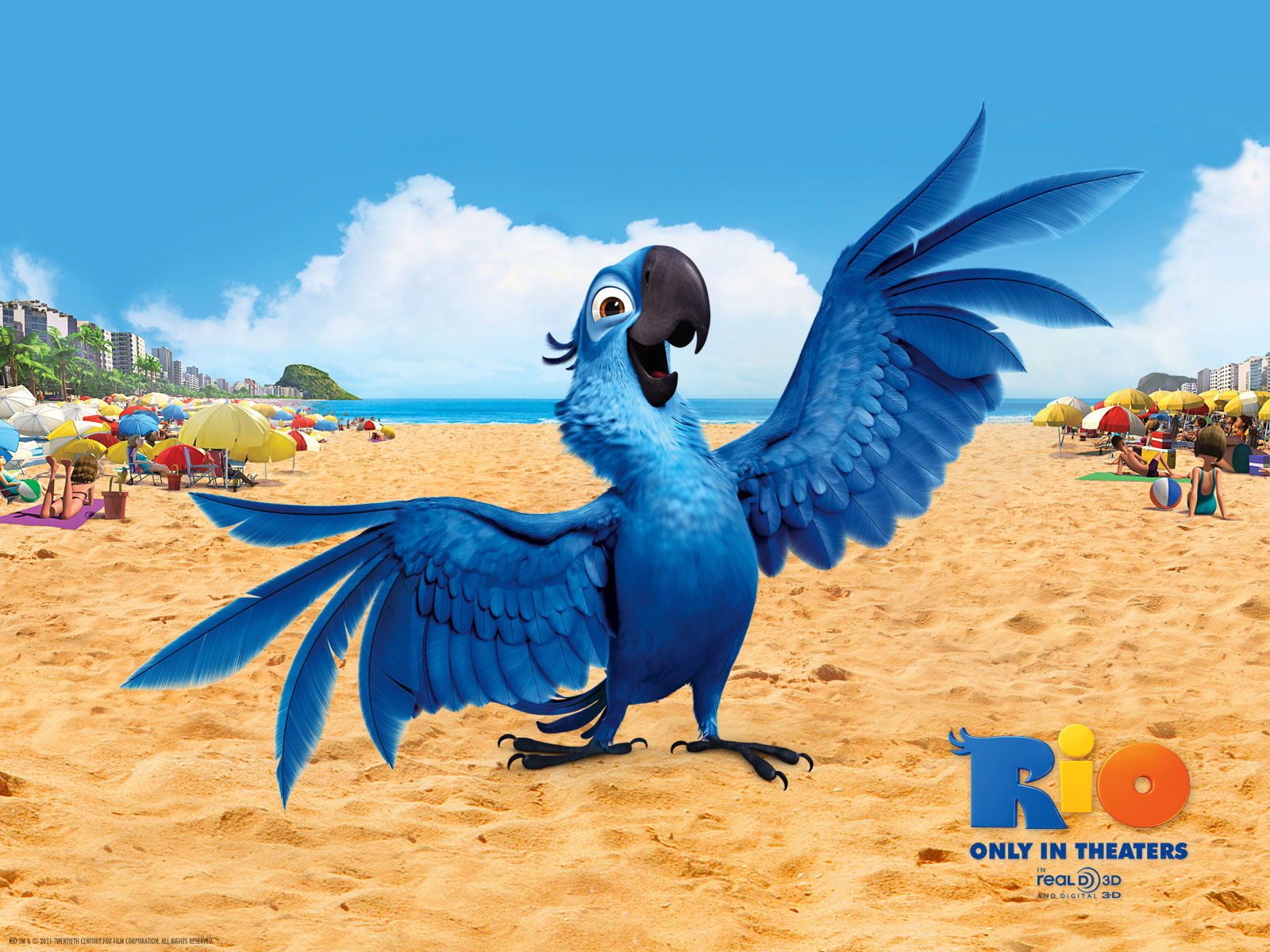 BIOFLAGRANTES AVES DO FILME RIO bioflagrantes-aves-do-filme-rio