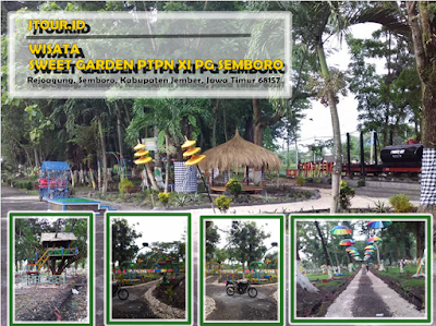 Wisata ke Sweet Garden PTPN XI PG Semboro Jember - Jawa Timur
