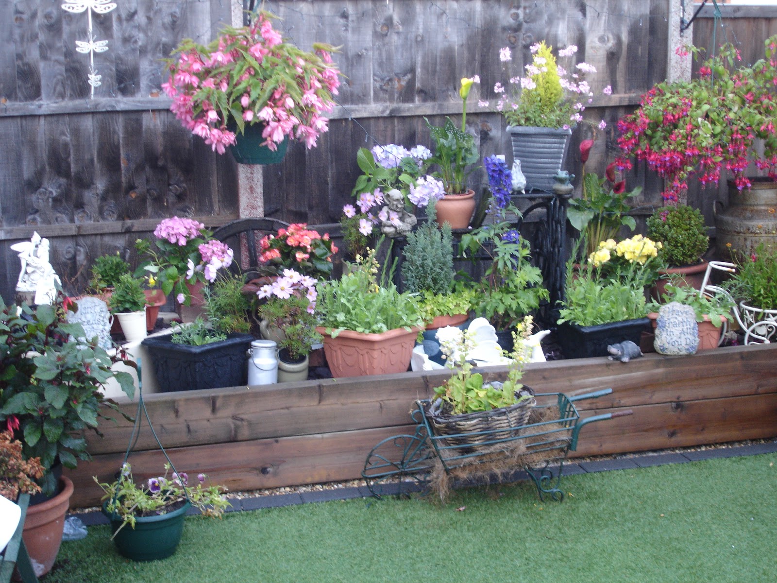 Begonias You Never Knew Were Living Treasures