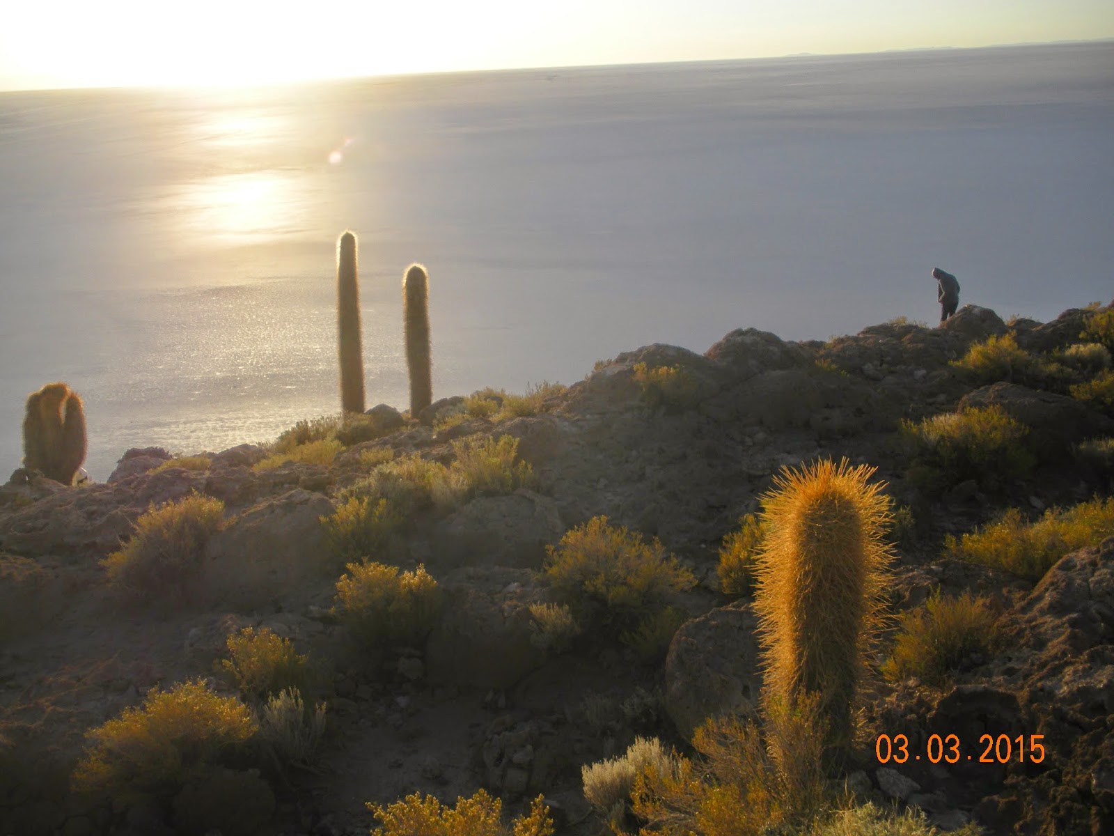 Atacama - Blogs de Bolivia - Atacama/ Salar de Uyuni (11)